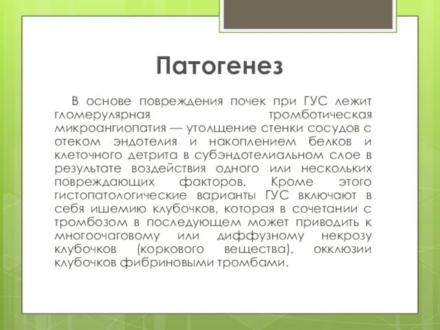 Патогенез В основе повреждения почек при ГУС лежит гломерулярная тромботическая микроангиопатия