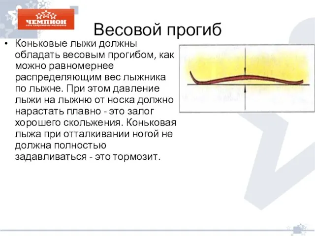 Весовой прогиб Коньковые лыжи должны обладать весовым прогибом, как можно равномернее