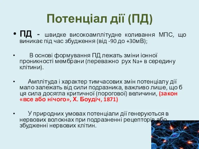 Потенціал дії (ПД) ПД - швидке високоамплітудне коливання МПС, що виникає