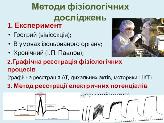 Методи фізіологічних досліджень 1. Експеримент Гострий (вівісекція); В умовах ізольованого органу;