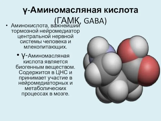 γ-Аминомасляная кислота (ГАМК, GABA) Аминокислота, важнейший тормозной нейромедиатор центральной нервной системы