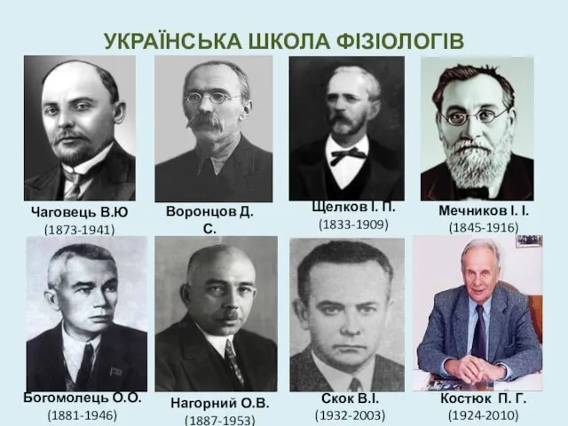 УКРАЇНСЬКА ШКОЛА ФІЗІОЛОГІВ Чаговець В.Ю (1873-1941) Воронцов Д.С. (1886-1965) Костюк П.