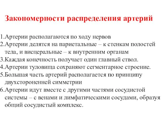 Закономерности распределения артерий Артерии располагаются по ходу нервов Артерии делятся на