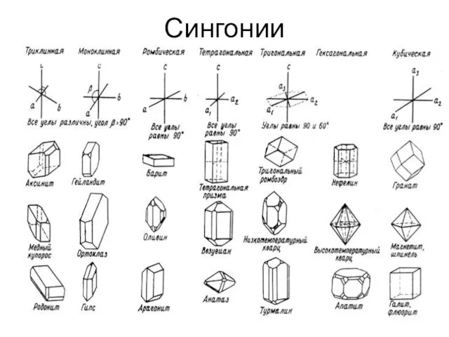 Сингонии