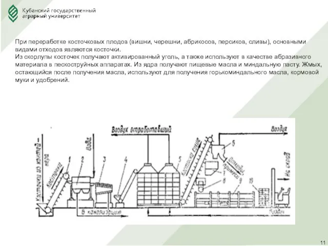 При переработке косточковых плодов (вишни, черешни, абрикосов, персиков, сливы), основными видами