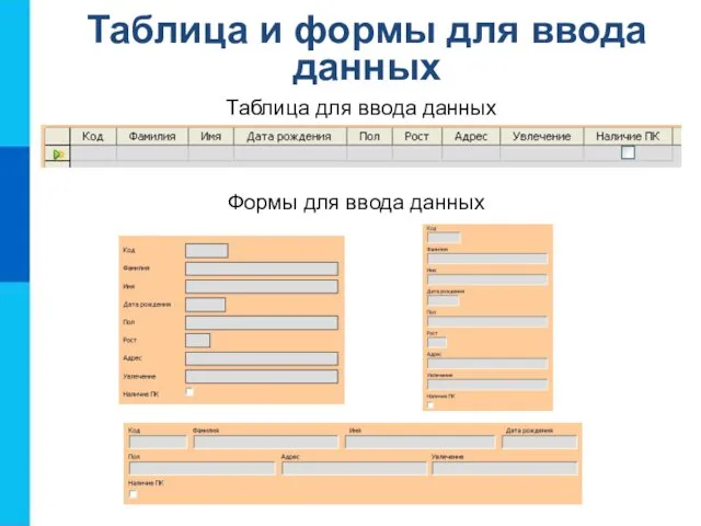 Таблица для ввода данных Формы для ввода данных Таблица и формы для ввода данных