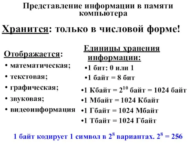 Представление информации в памяти компьютера Отображается: математическая; текстовая; графическая; звуковая; видеоинформация