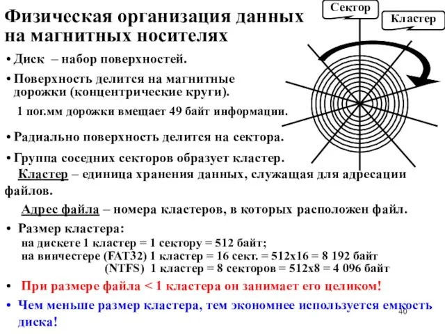 Физическая организация данных на магнитных носителях Кластер – единица хранения данных,