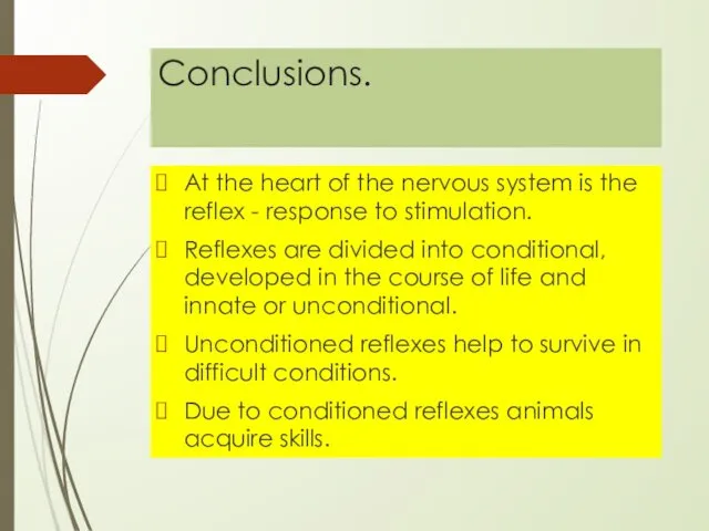 Conclusions. At the heart of the nervous system is the reflex