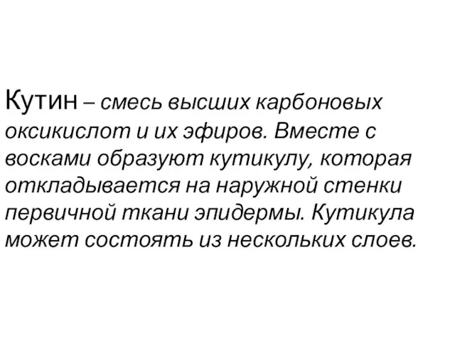 Кутин – смесь высших карбоновых оксикислот и их эфиров. Вместе с