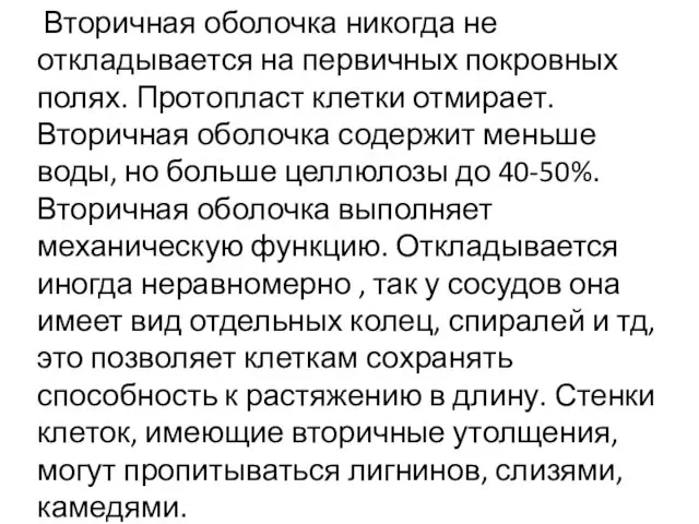 Вторичная оболочка никогда не откладывается на первичных покровных полях. Протопласт клетки