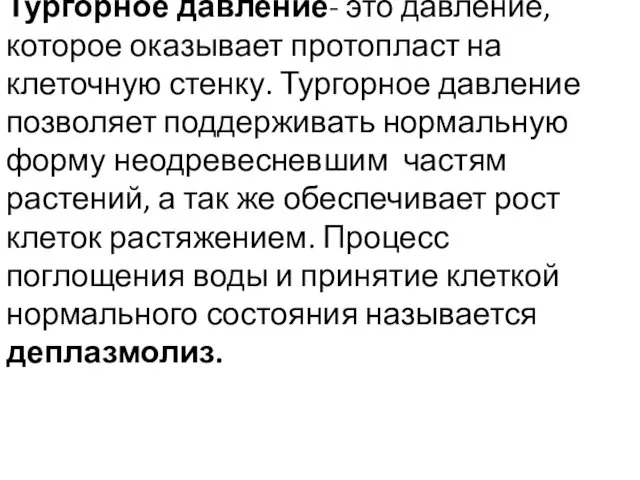 Тургорное давление- это давление, которое оказывает протопласт на клеточную стенку. Тургорное