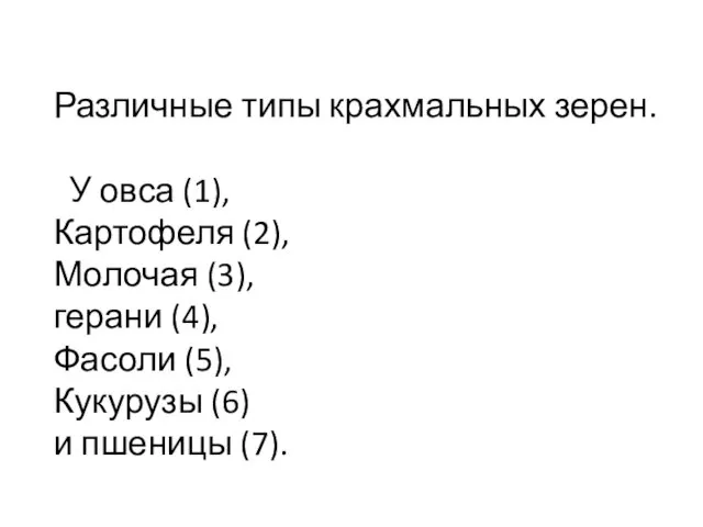 Различные типы крахмальных зерен. У овса (1), Картофеля (2), Молочая (3),