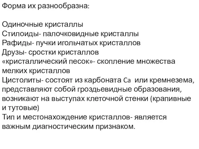 Форма их разнообразна: Одиночные кристаллы Стилоиды- палочковидные кристаллы Рафиды- пучки игольчатых