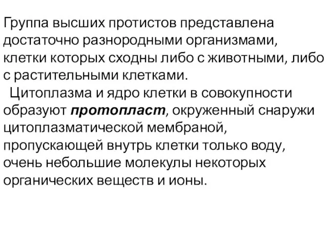 Группа высших протистов представлена достаточно разнородными организмами, клетки которых сходны либо