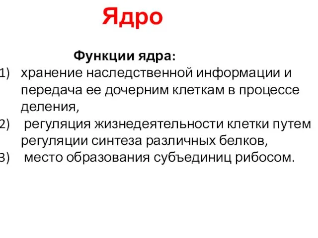 Ядро Функции ядра: хранение наследственной информации и передача ее дочерним клеткам