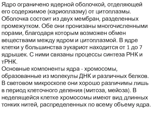 Ядро ограничено ядерной оболочкой, отделяющей его содержимое (кариоплазму) от цитоплазмы. Оболочка