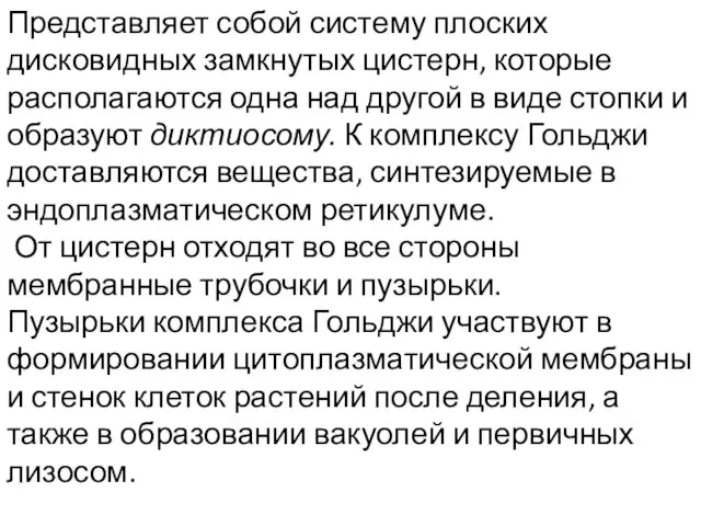 Представляет собой систему плоских дисковидных замкнутых цистерн, которые располагаются одна над