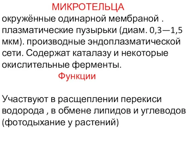 МИКРОТЕЛЬЦА окружённые одинарной мембраной . плазматические пузырьки (диам. 0,3—1,5 мкм). производные