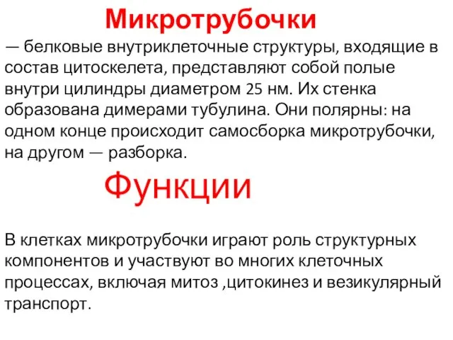 Микротрубочки — белковые внутриклеточные структуры, входящие в состав цитоскелета, представляют собой