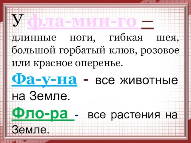 У фла-мин-го – длинные ноги, гибкая шея, большой горбатый клюв, розовое