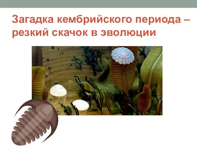 Загадка кембрийского периода – резкий скачок в эволюции