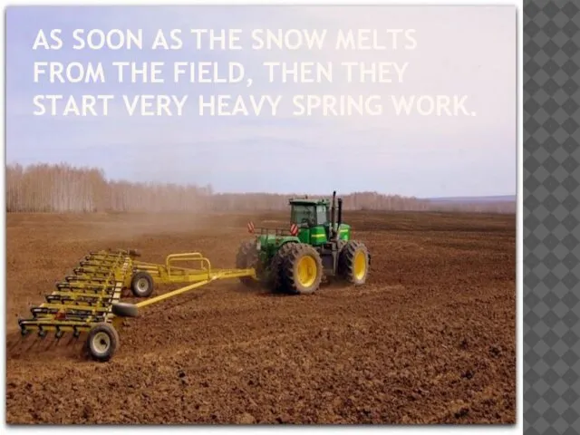 AS SOON AS THE SNOW MELTS FROM THE FIELD, THEN THEY START VERY HEAVY SPRING WORK.
