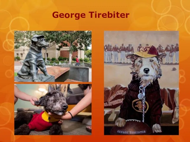 George Tirebiter