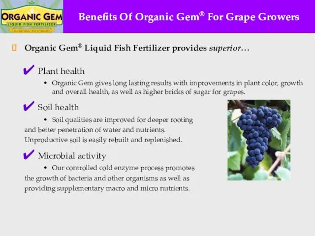 Benefits Of Organic Gem® For Grape Growers Organic Gem® Liquid Fish