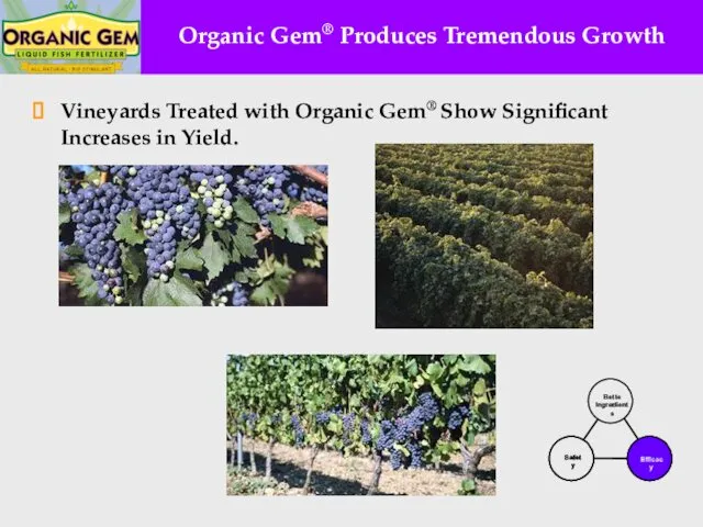 Organic Gem® Produces Tremendous Growth Vineyards Treated with Organic Gem® Show