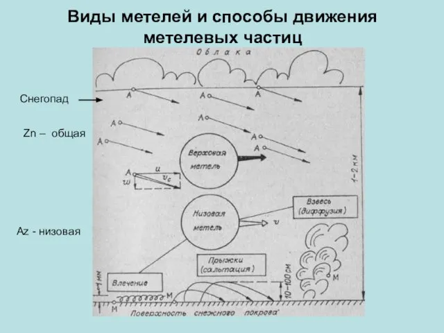 Виды метелей и способы движения метелевых частиц Zn – общая Az - низовая