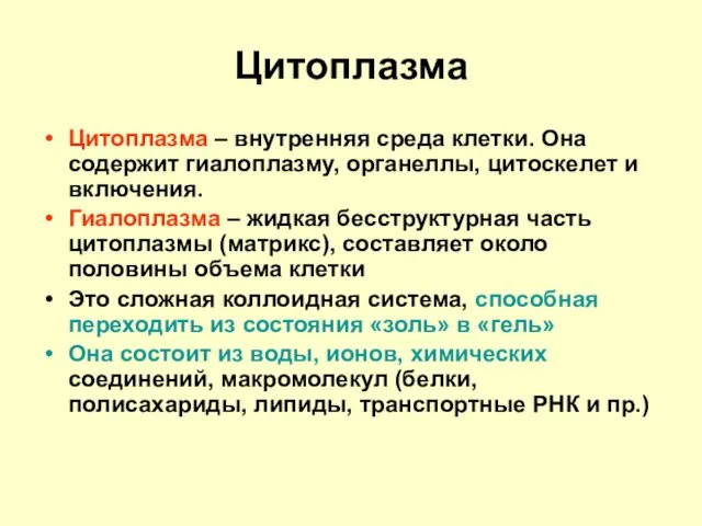 Цитоплазма Цитоплазма – внутренняя среда клетки. Она содержит гиалоплазму, органеллы, цитоскелет