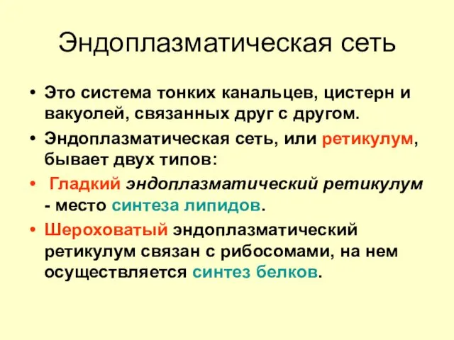 Эндоплазматическая сеть Это система тонких канальцев, цистерн и вакуолей, связанных друг