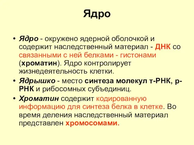 Ядро Ядро - окружено ядерной оболочкой и содержит наследственный материал -