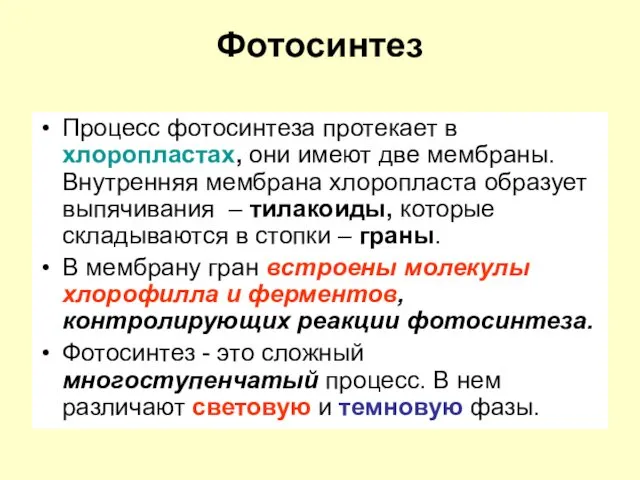 Фотосинтез Процесс фотосинтеза протекает в хлоропластах, они имеют две мембраны. Внутренняя