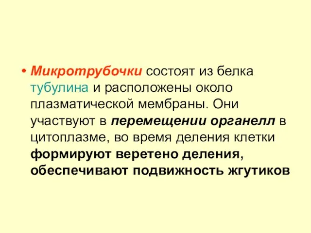 Микротрубочки состоят из белка тубулина и расположены около плазматической мембраны. Они