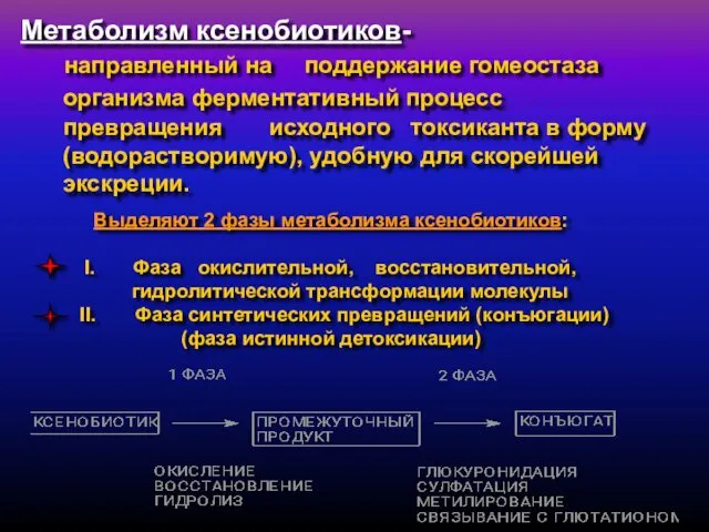 Метаболизм ксенобиотиков- направленный на поддержание гомеостаза организма ферментативный процесс превращения исходного