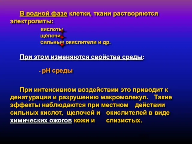 В водной фазе клетки, ткани растворяются электролиты: кислоты щелочи сильные окислители