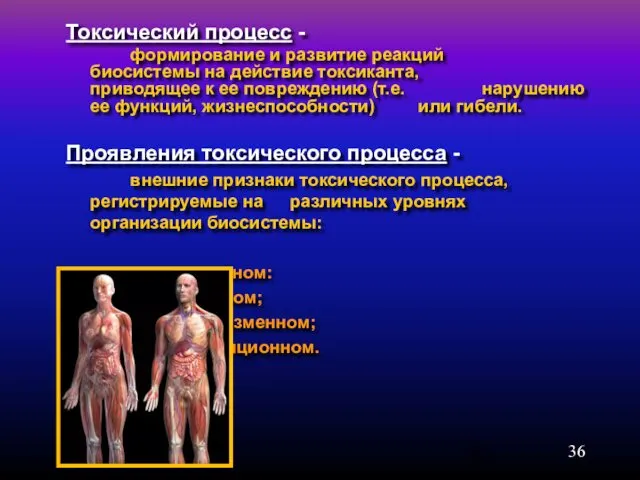 Токсический процесс - формирование и развитие реакций биосистемы на действие токсиканта,