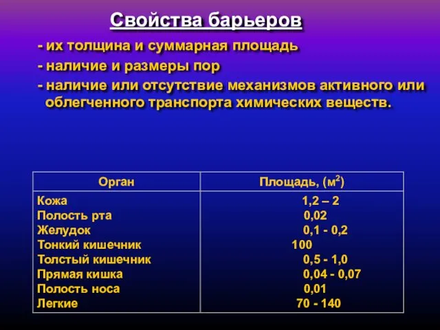 - их толщина и суммарная площадь - наличие и размеры пор