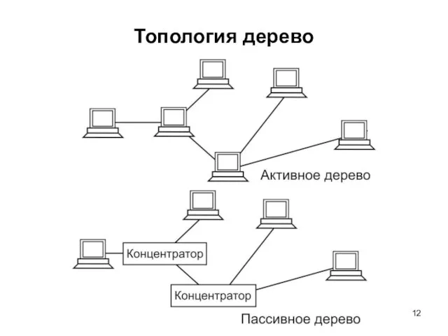 Топология дерево