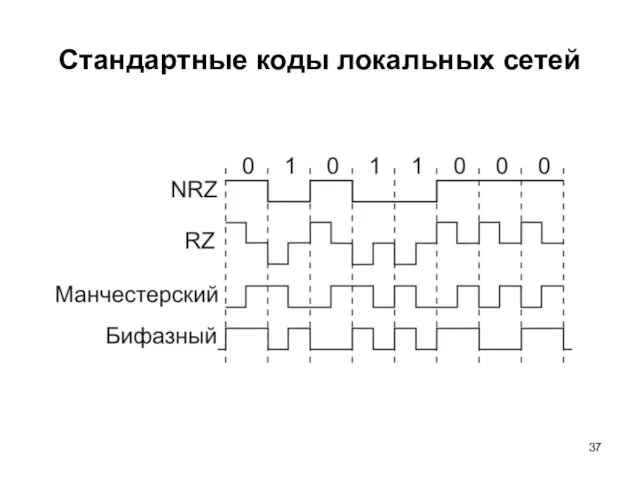 Стандартные коды локальных сетей