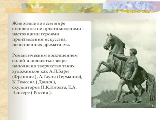 Животные во всем мире становятся не просто моделями – настоящими героями