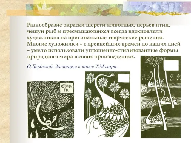 Разнообразие окраски шерсти животных, перьев птиц, чешуи рыб и пресмыкающихся всегда