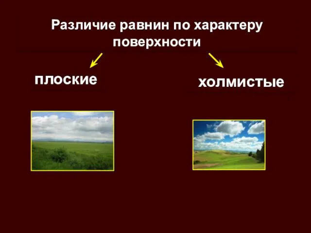 Различие равнин по характеру поверхности плоские холмистые