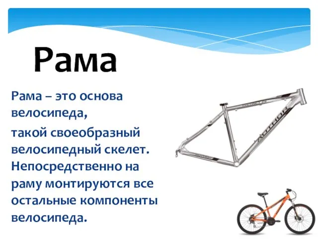 Рама – это основа велосипеда, такой своеобразный велосипедный скелет. Непосредственно на