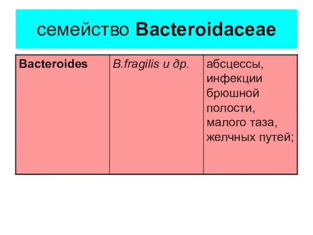 семейство Bacteroidaceae
