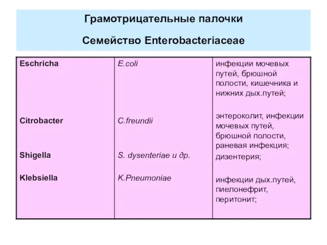 Грамотрицательные палочки Семейство Enterobacteriaceae