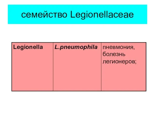 семейство Legionellaceae