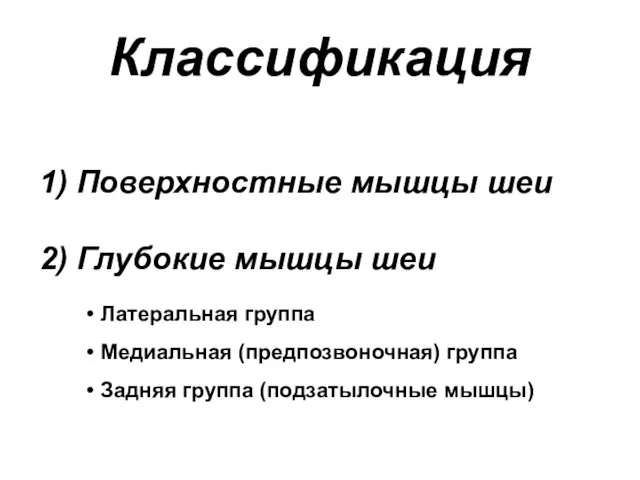 1) Поверхностные мышцы шеи 2) Глубокие мышцы шеи Латеральная группа Медиальная